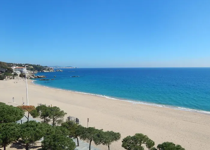 Cosette - Alexandra Mar